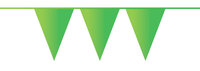 Vlaggenlijn groen 405643.
